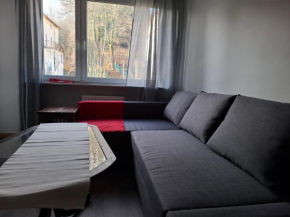 Suria Krynica